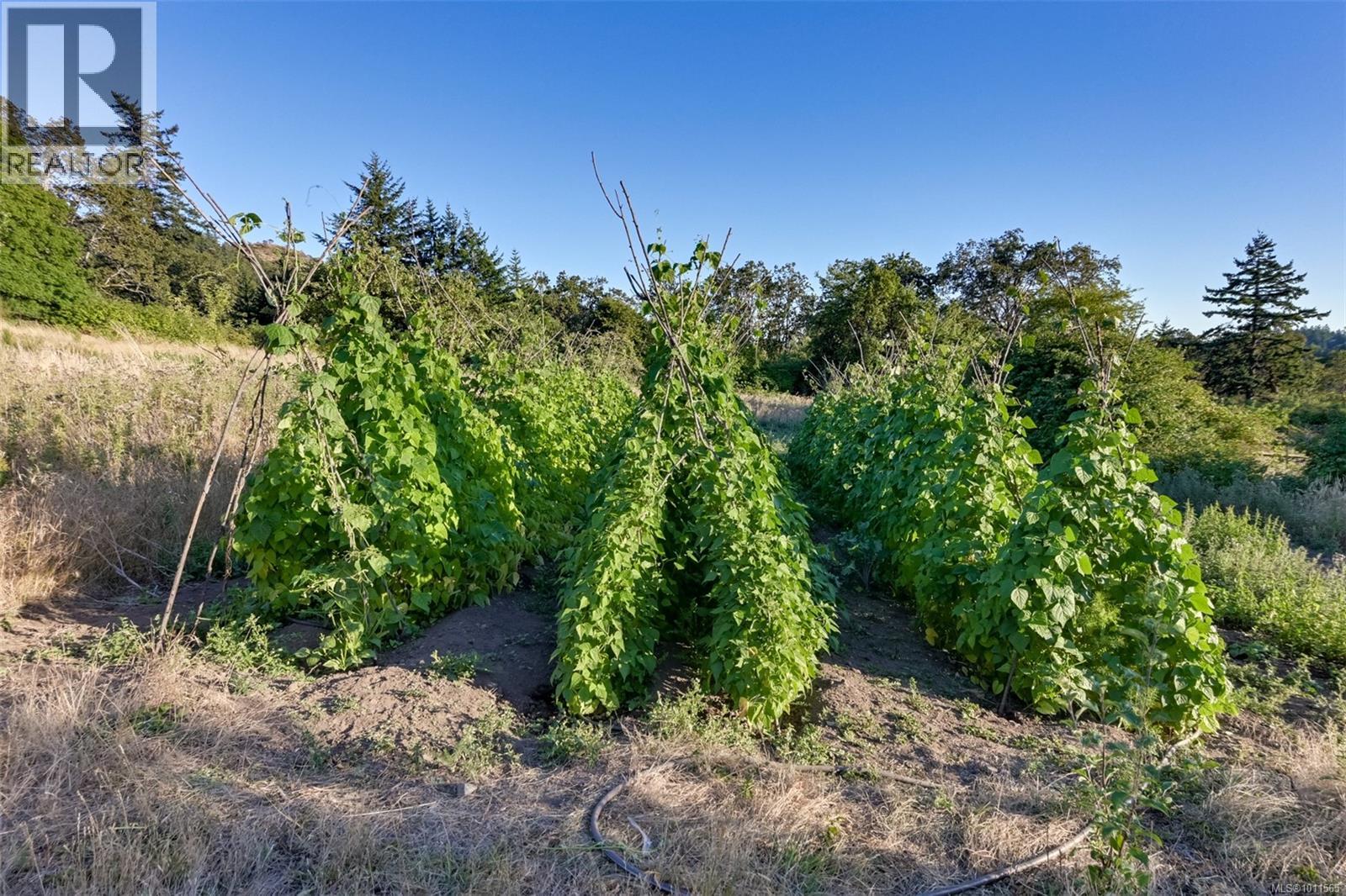  4589 Blenkinsop Road, Saanich