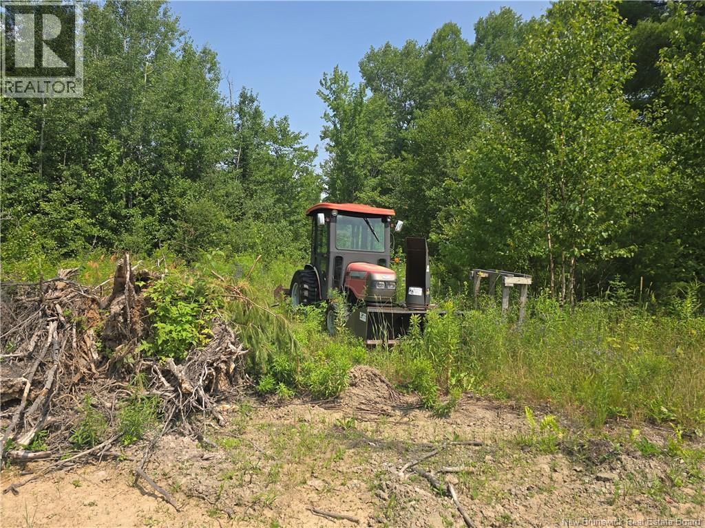 Photo 38 of 349 Bellefond Road, Bellefond NB