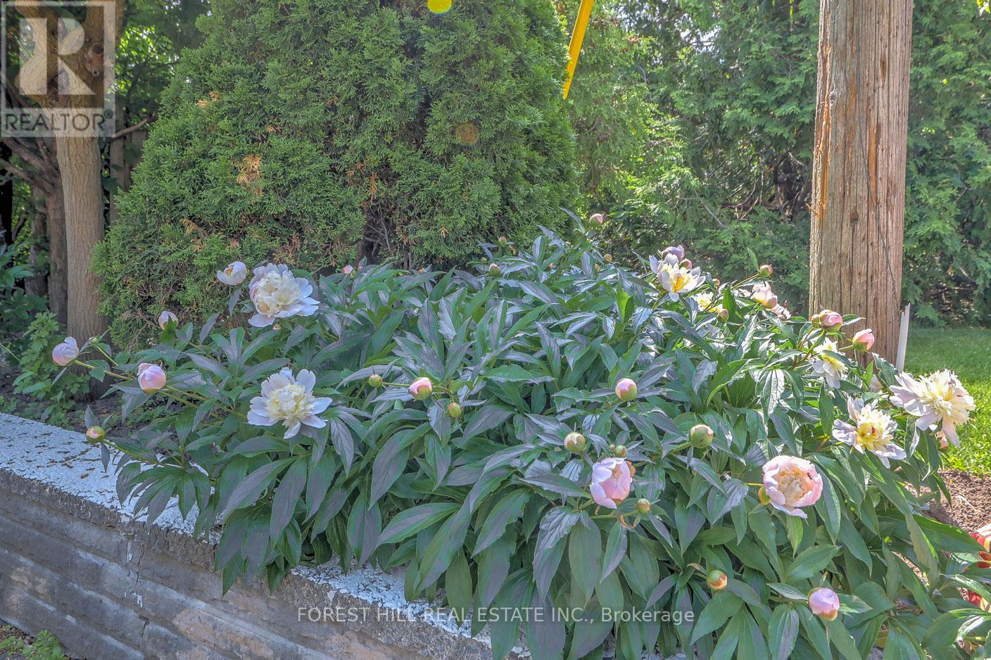 Photo 7 of 89 Portage Avenue, Toronto ON