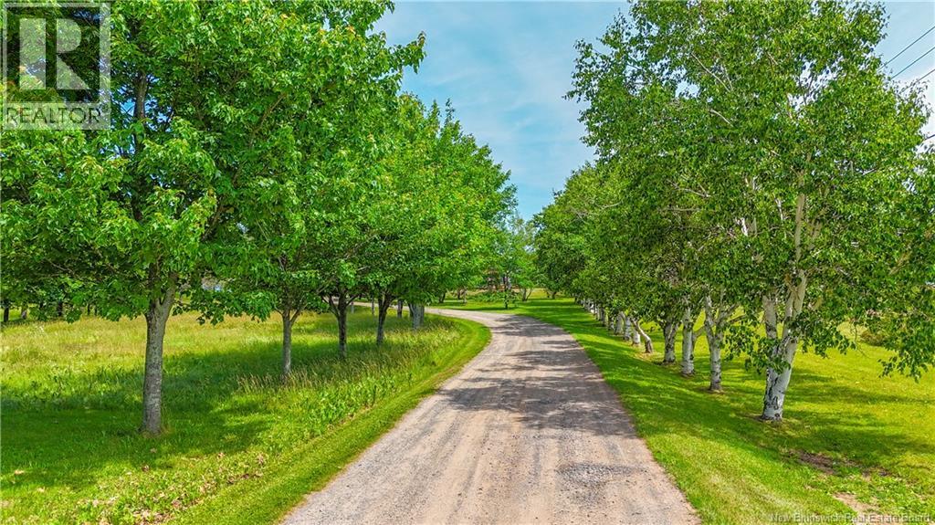 Photo 41 of 703 113 Route, Inkerman NB