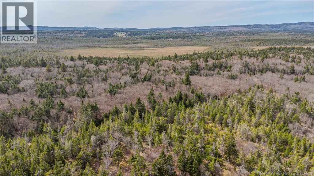 Photo 12 of Lot A Old Shore Road, Tynemouth Creek NB