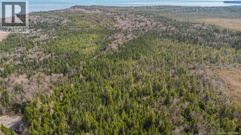 Photo 5 of Lot A Old Shore Road, Tynemouth Creek NB