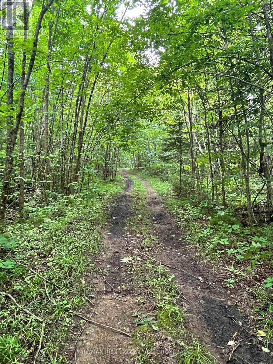 Photo 12 of 1311 A Road 506, Frontenac ON