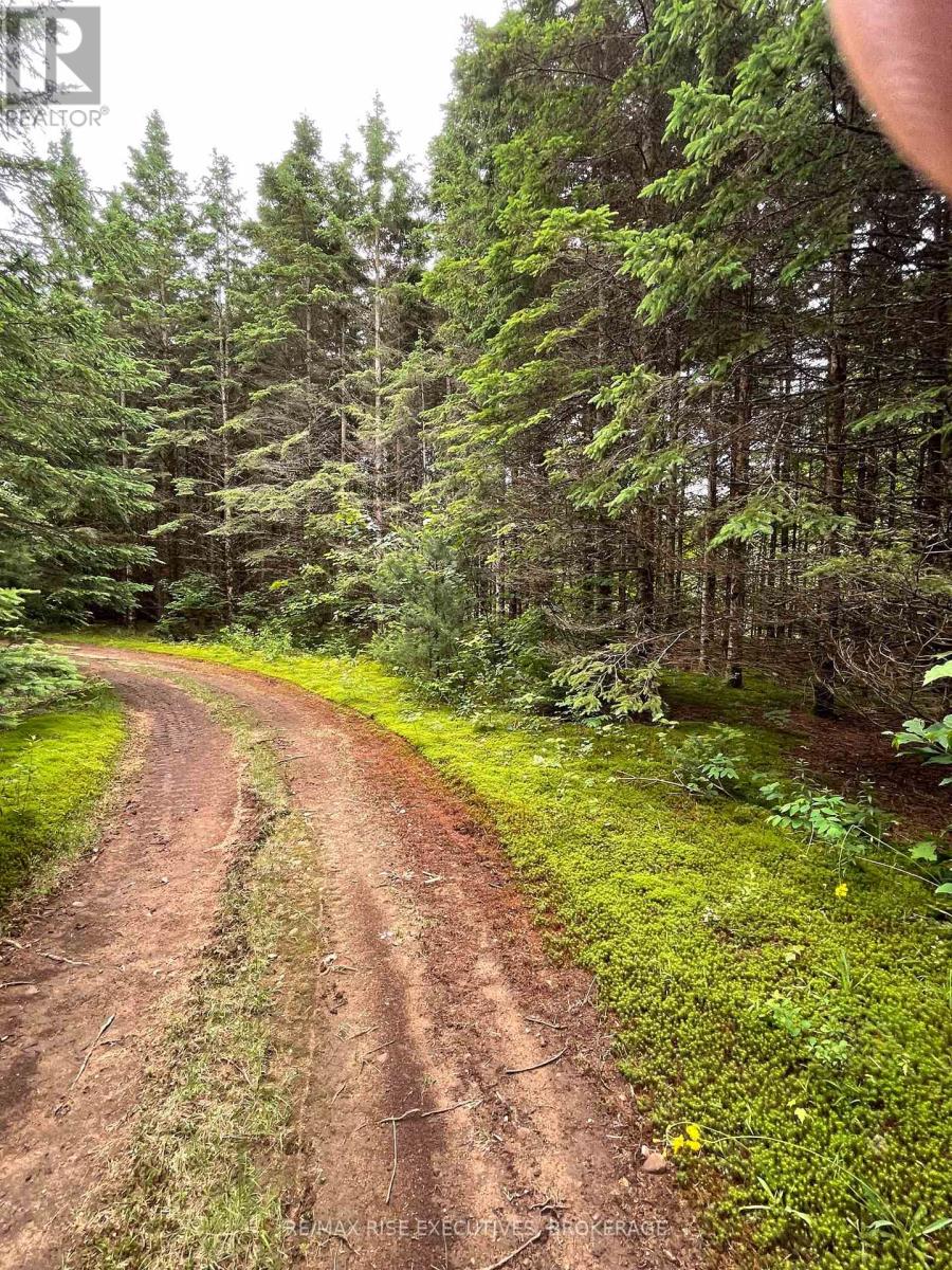 Photo 15 of 1311 A Road 506, Frontenac ON