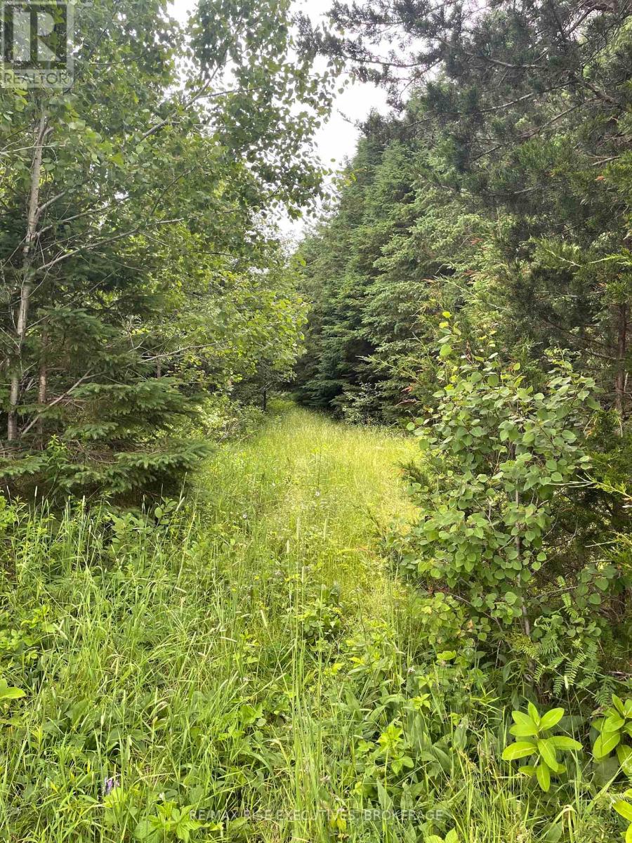 Photo 17 of 1311 A Road 506, Frontenac ON