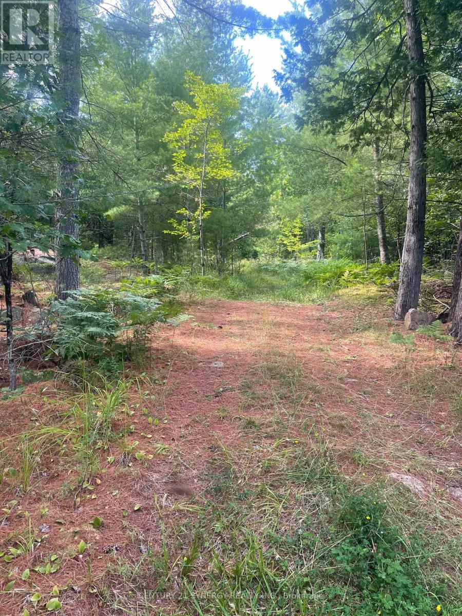 Photo 37 of 756 Bellamy Mills Road, Mississippi Mills ON