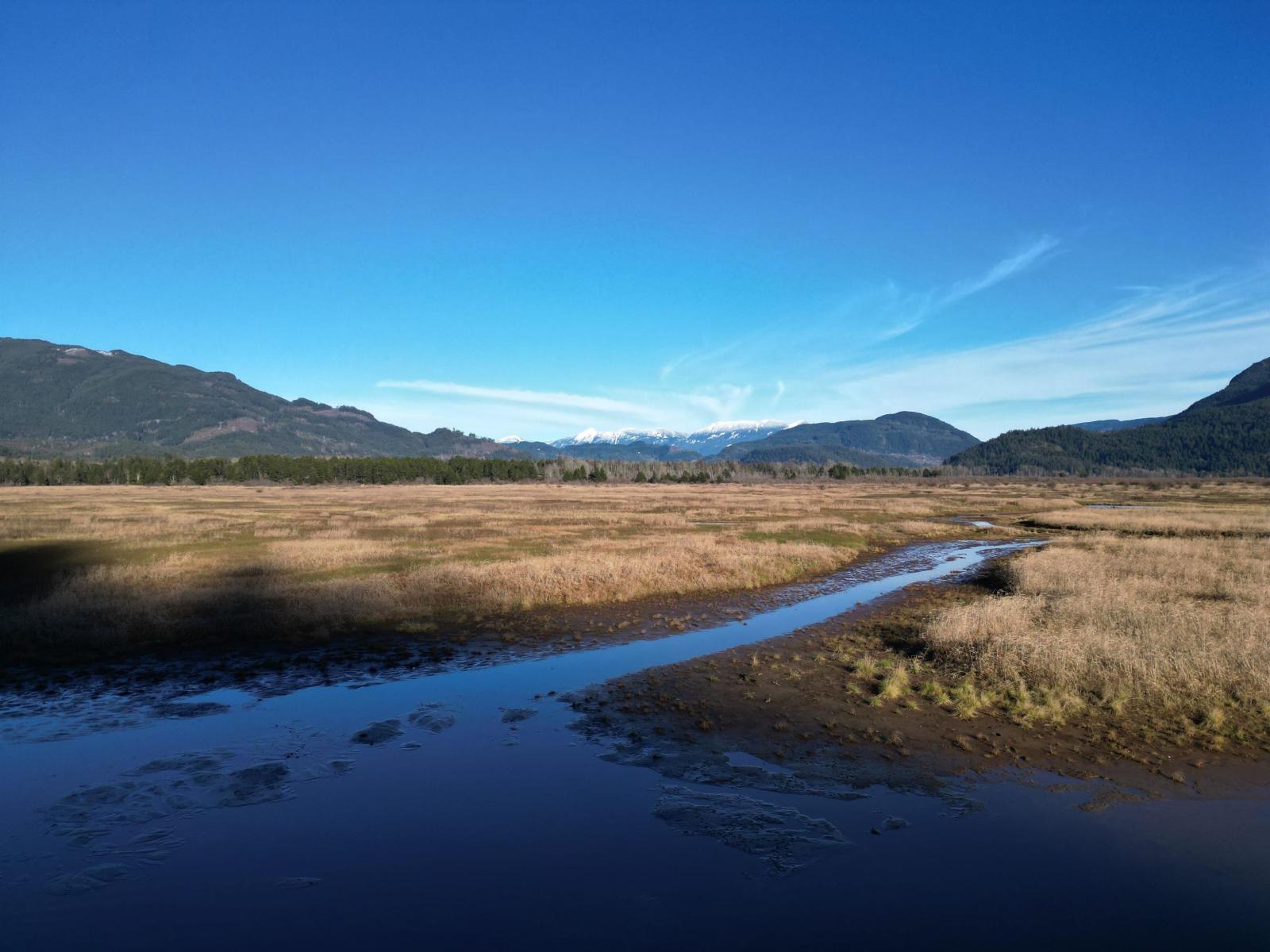 Photo 23 of 14800 Morris Valley Road, Harrison Mills BC