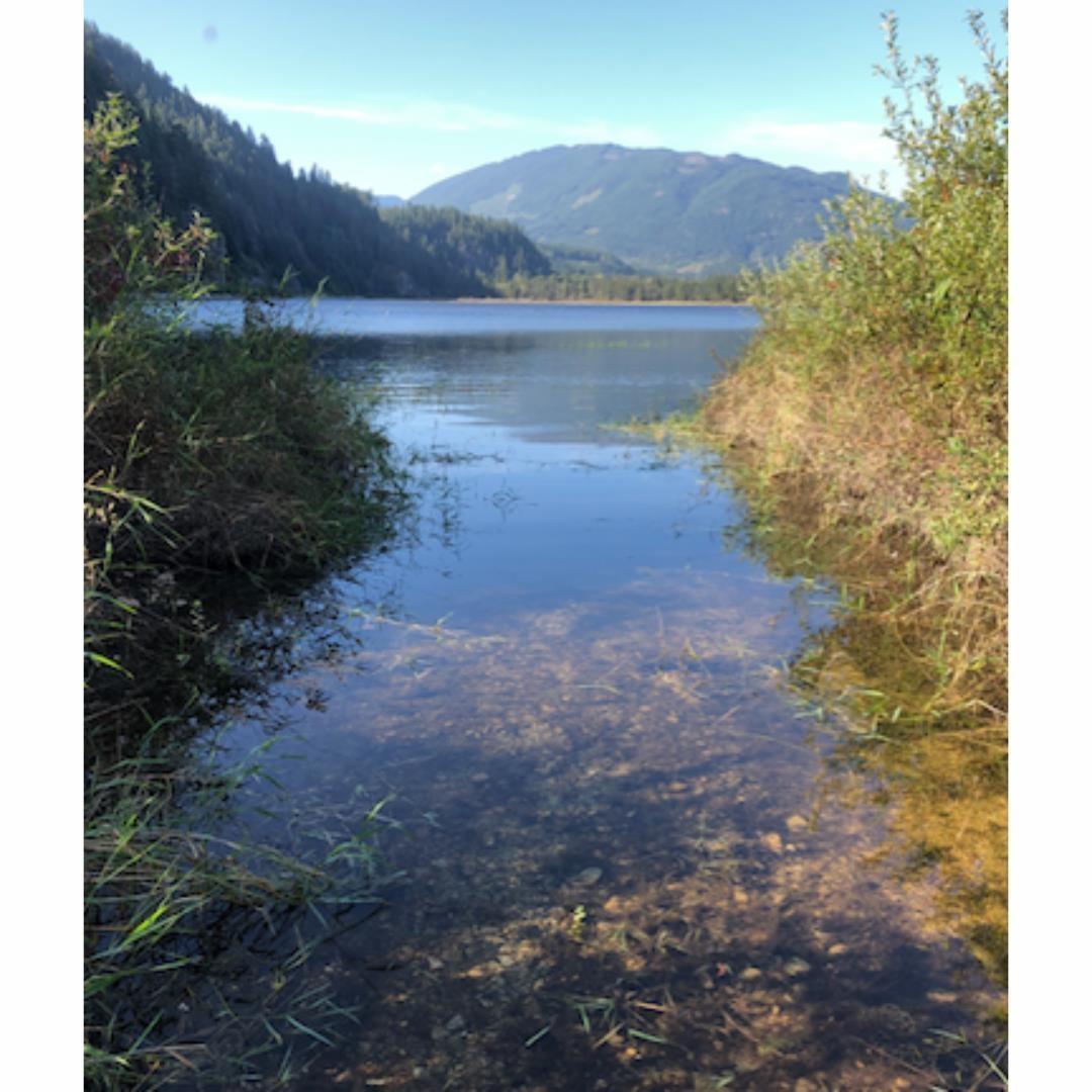Photo 27 of 14800 Morris Valley Road, Harrison Mills BC