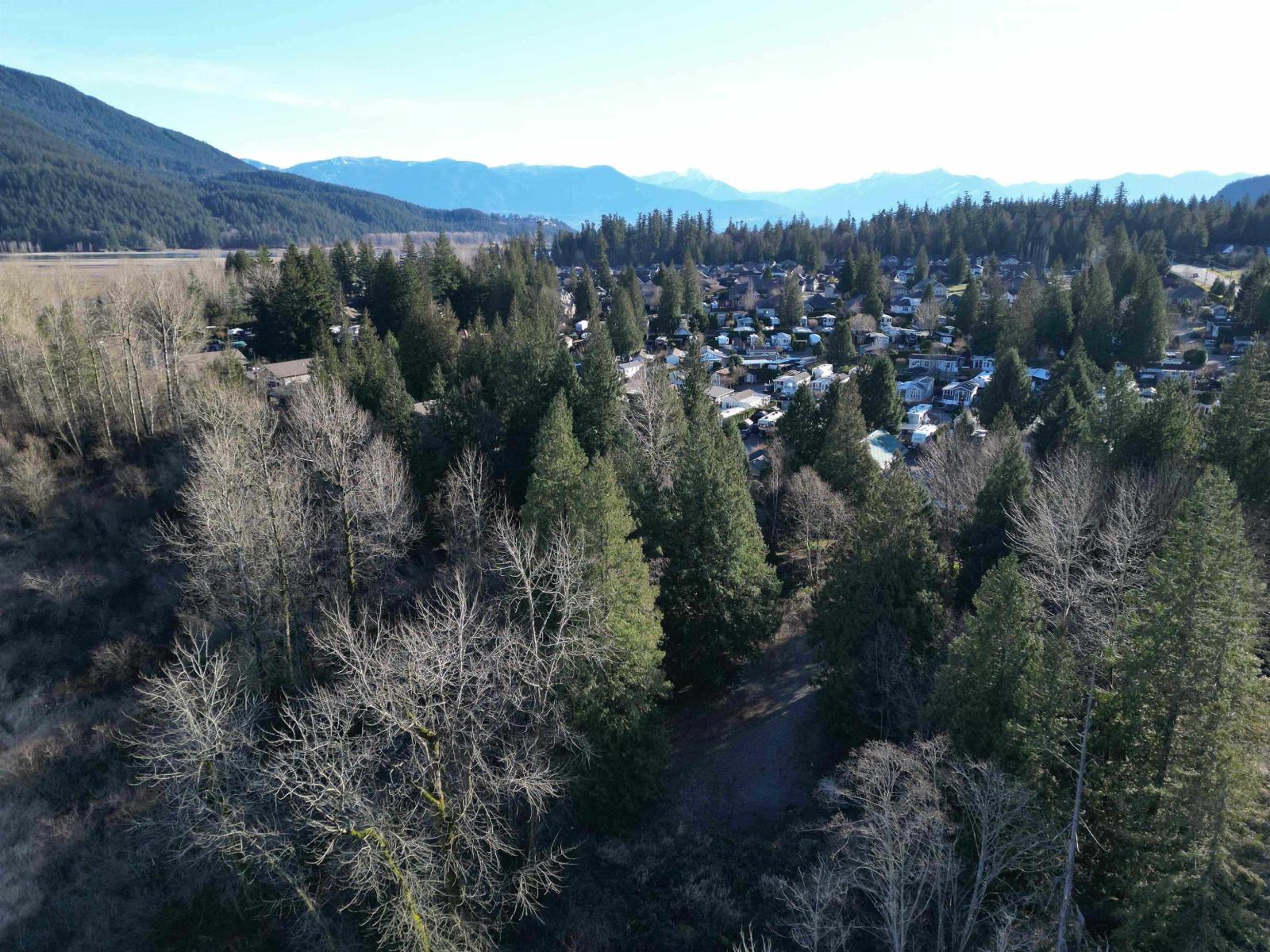 Photo 4 of 14800 Morris Valley Road, Harrison Mills BC
