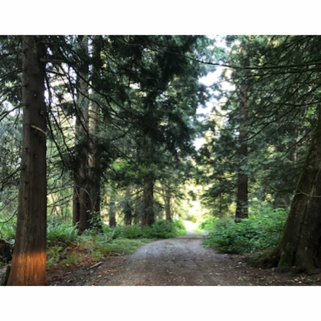 Photo 25 of 14800 Morris Valley Road, Harrison Mills BC