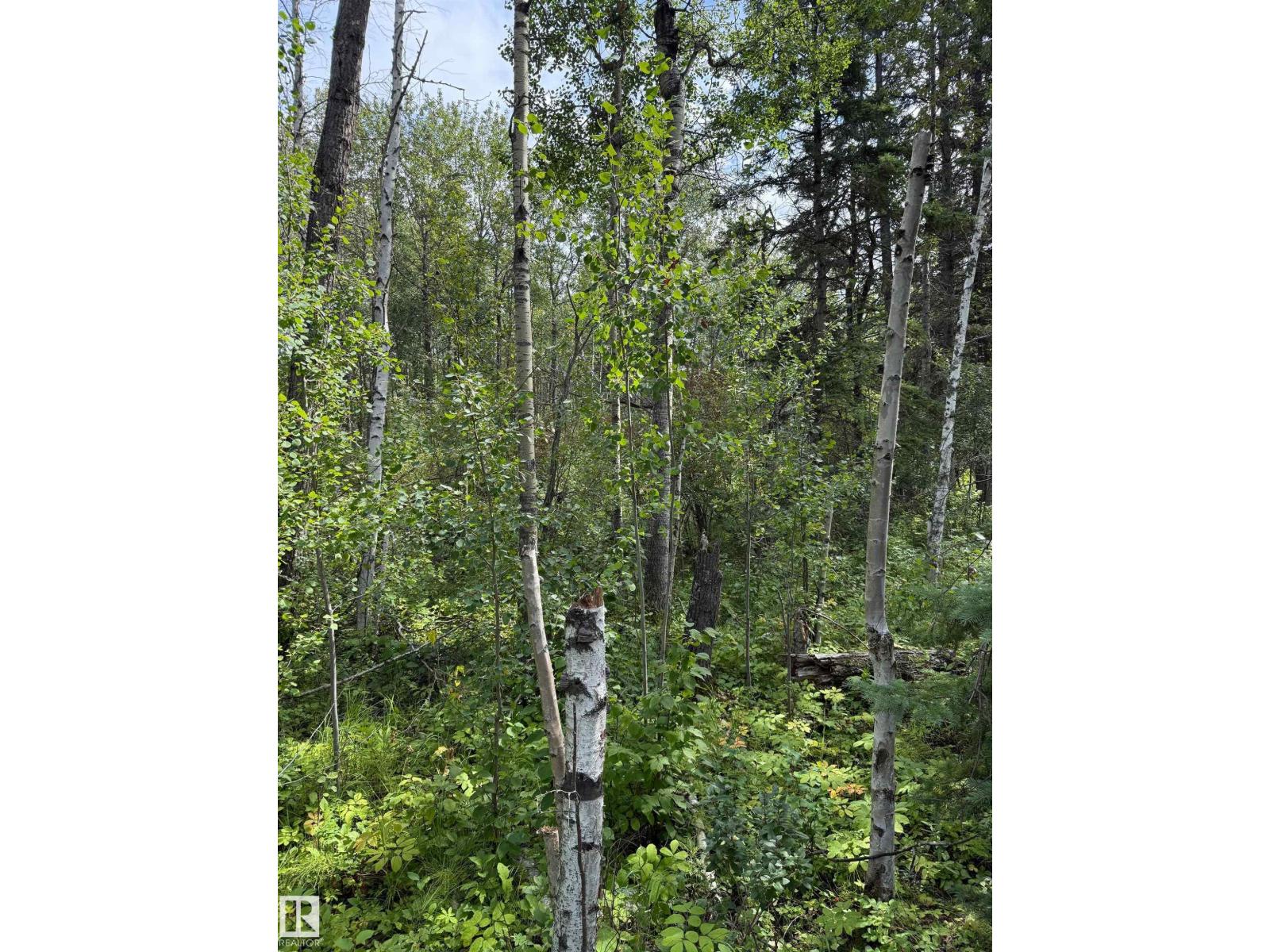 Photo 13 of 81 Twp Rd 550, Rural Lac Ste Anne County AB