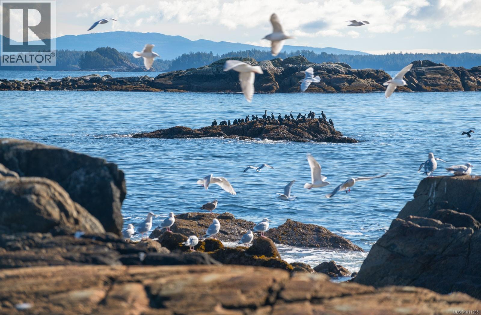 1049 Sixth Ave, Ucluelet