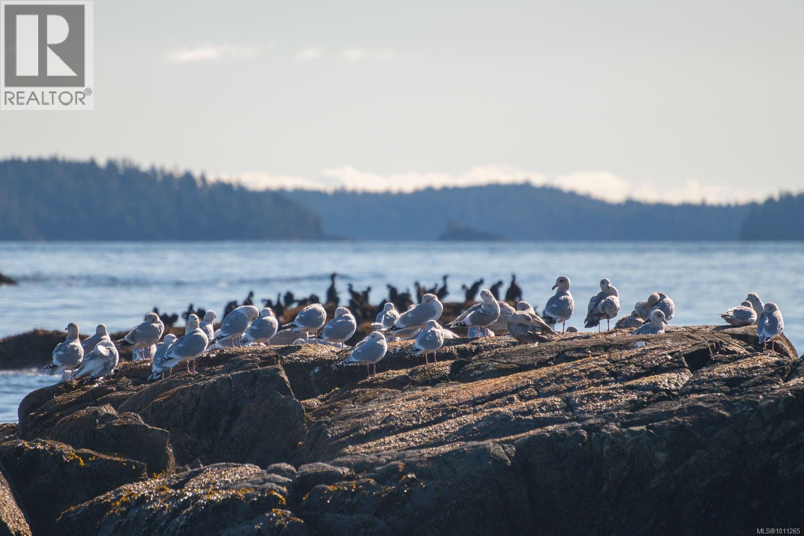 1049 Sixth Ave, Ucluelet