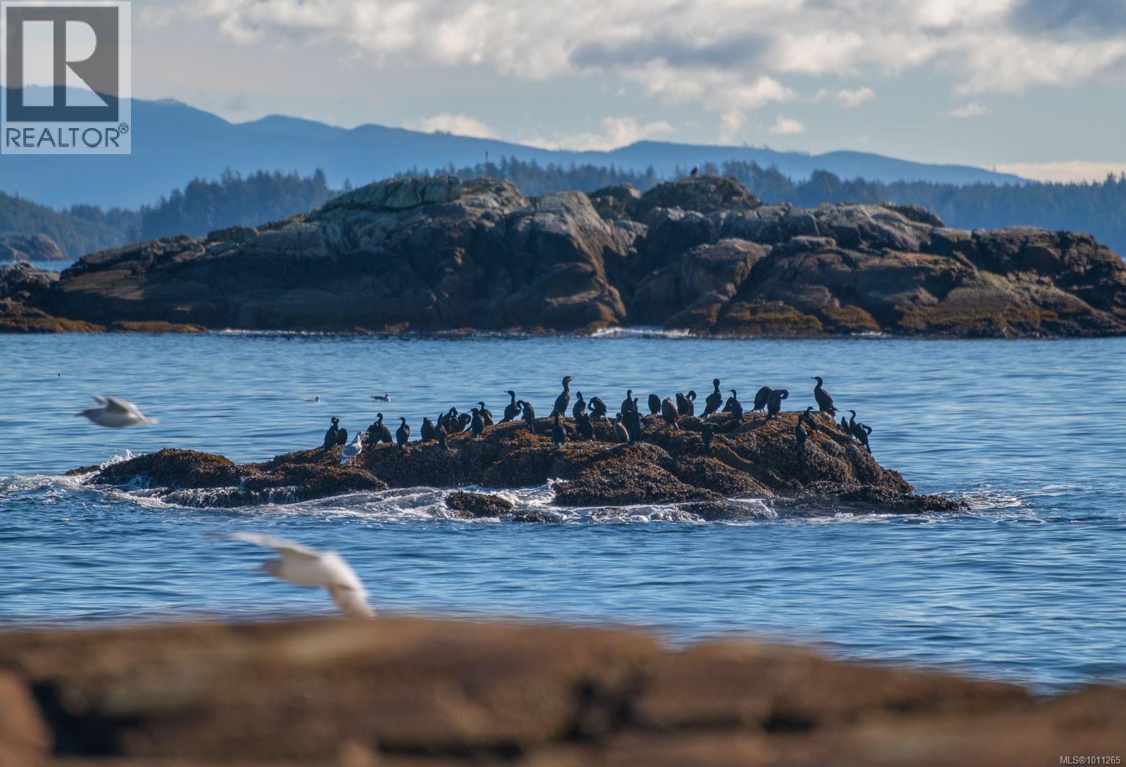 1049 Sixth Ave, Ucluelet