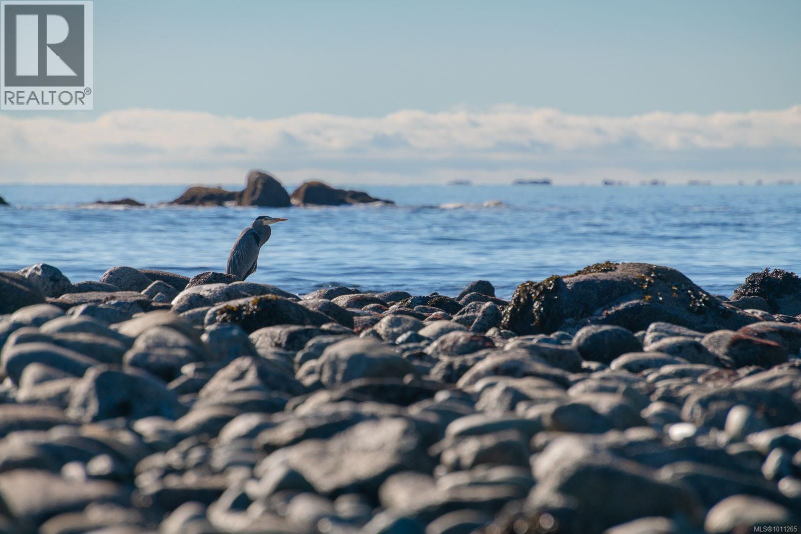 1049 Sixth Ave, Ucluelet