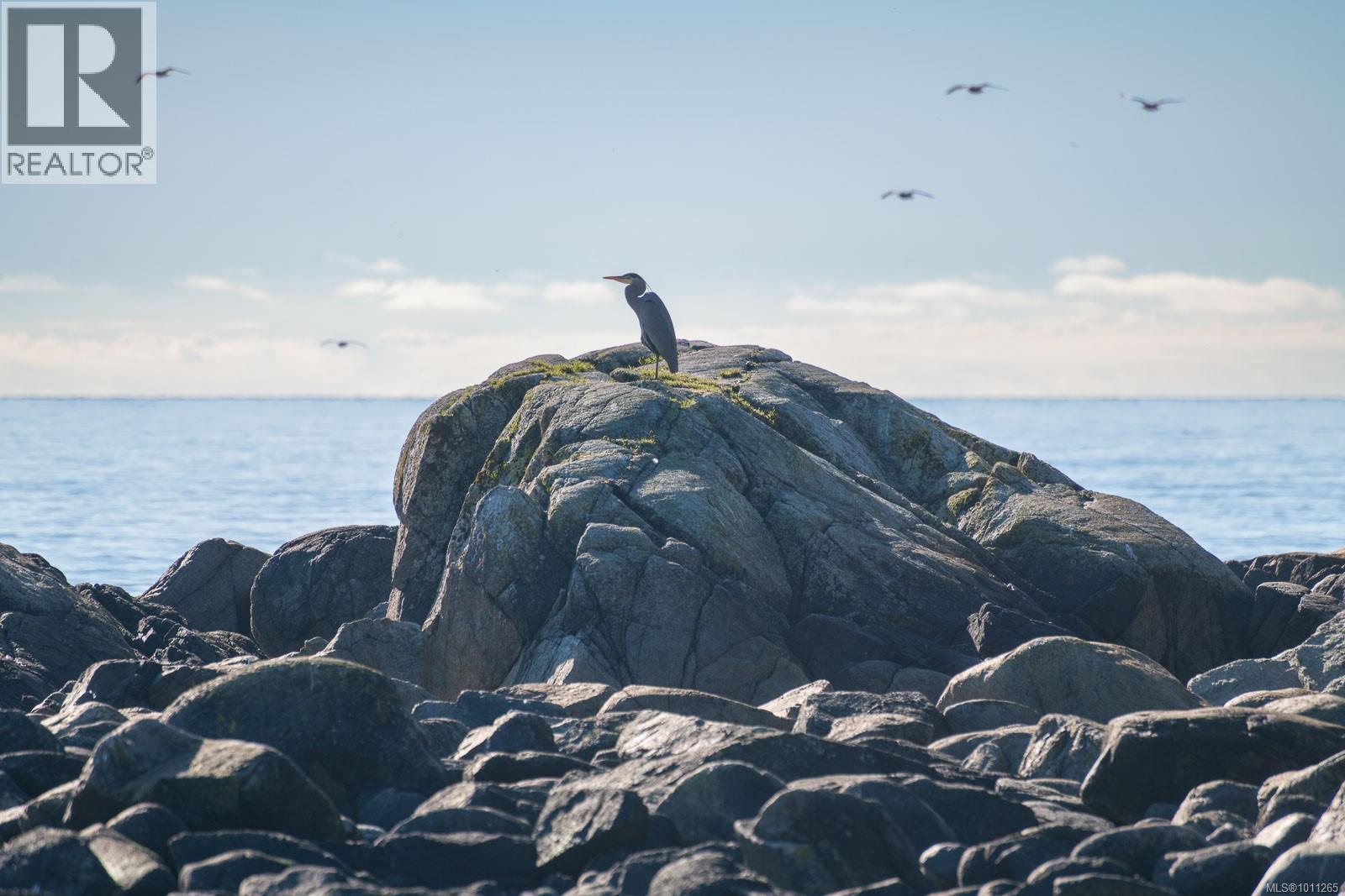 1049 Sixth Ave, Ucluelet
