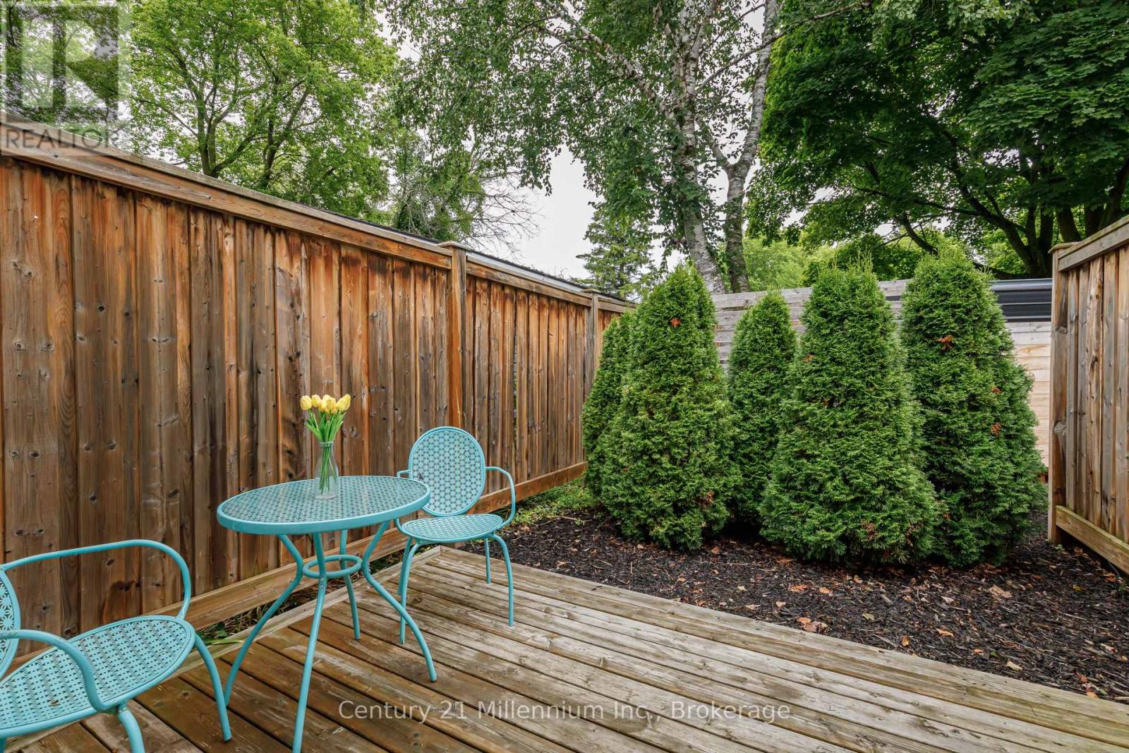 Photo 48 of 421 Napier Street, Collingwood ON