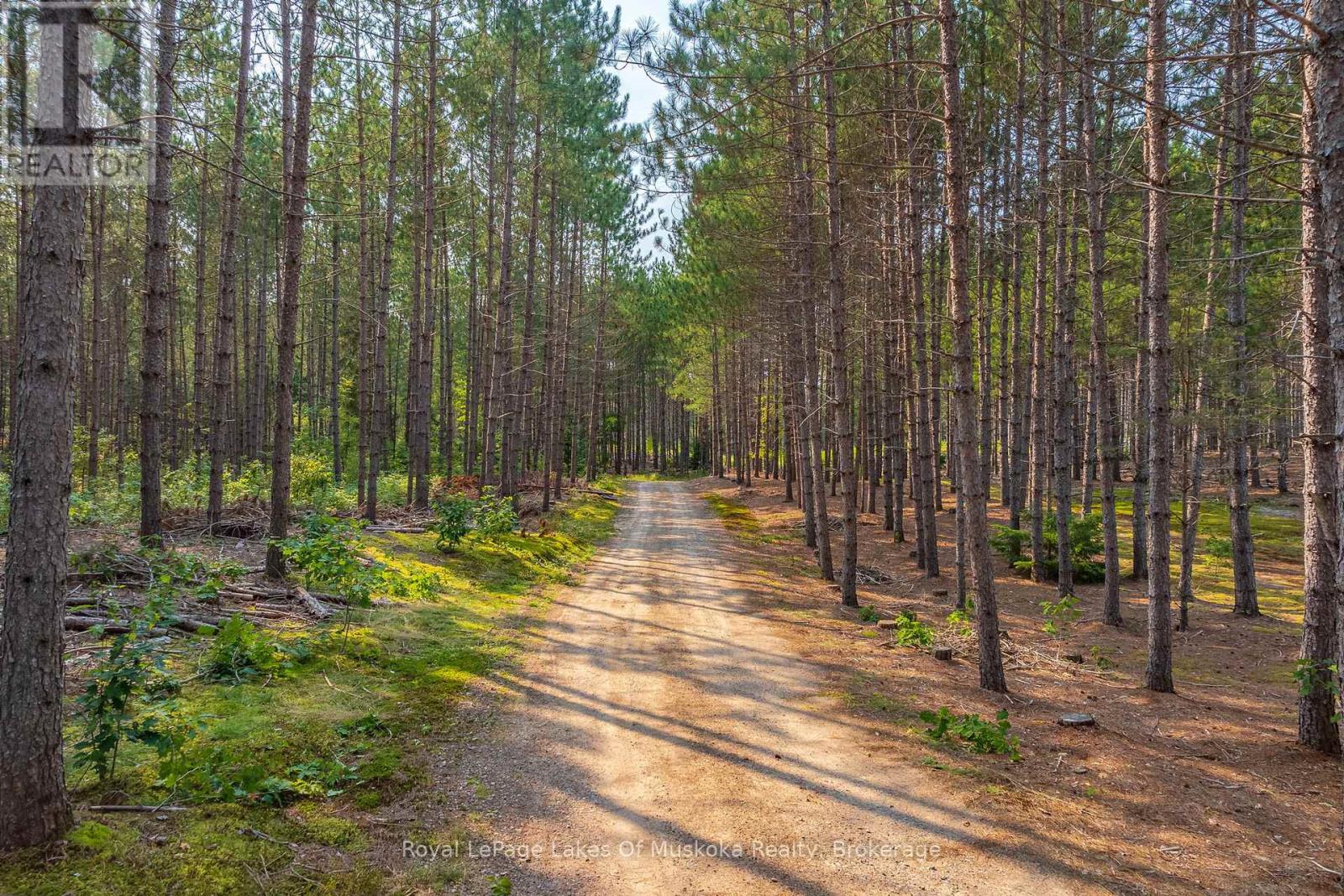 Photo 41 of 165 James Camp Road, Ryerson ON