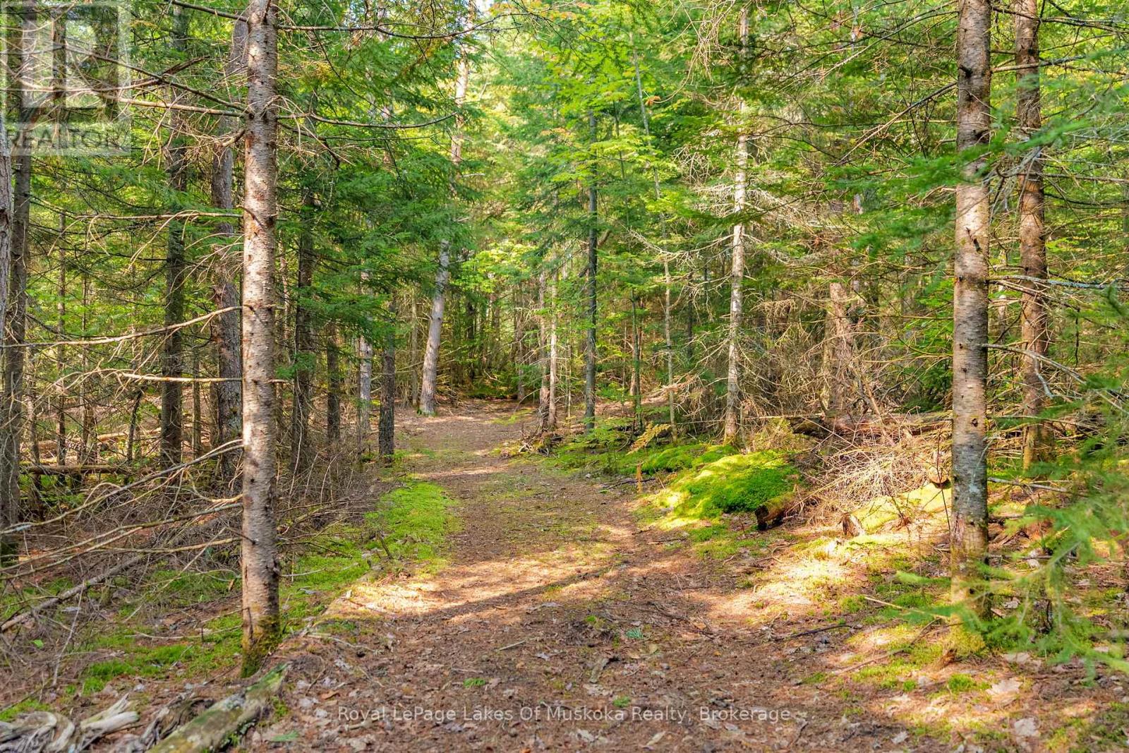 Photo 42 of 165 James Camp Road, Ryerson ON