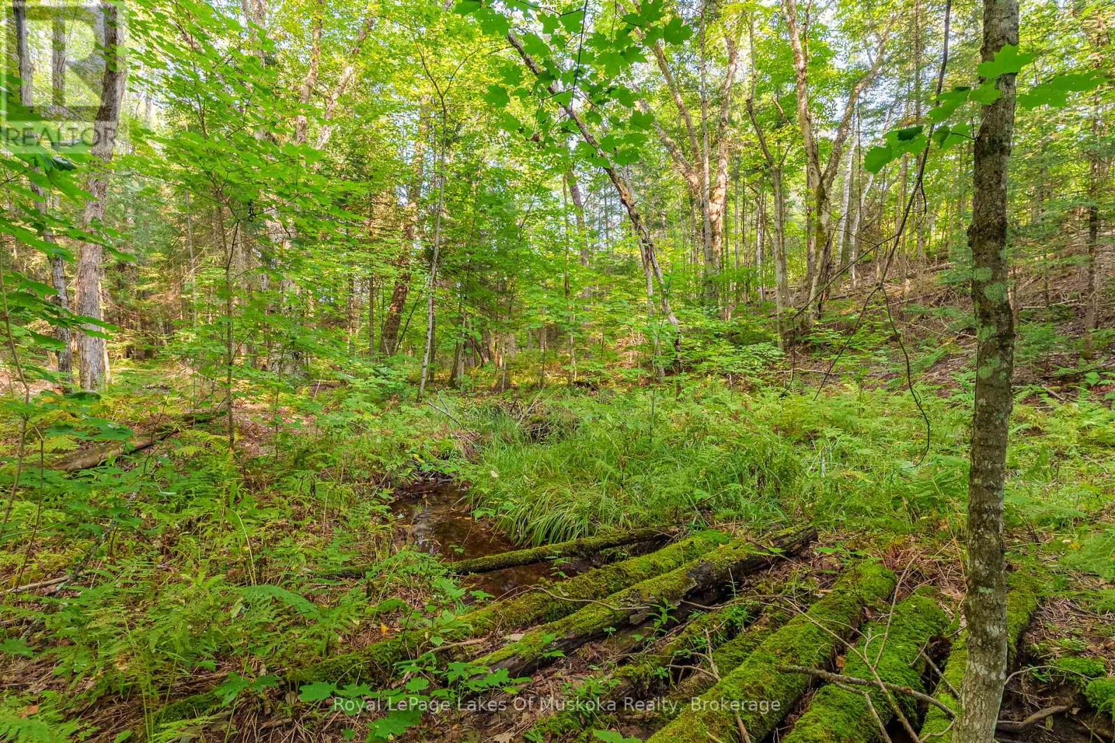 Photo 44 of 165 James Camp Road, Ryerson ON