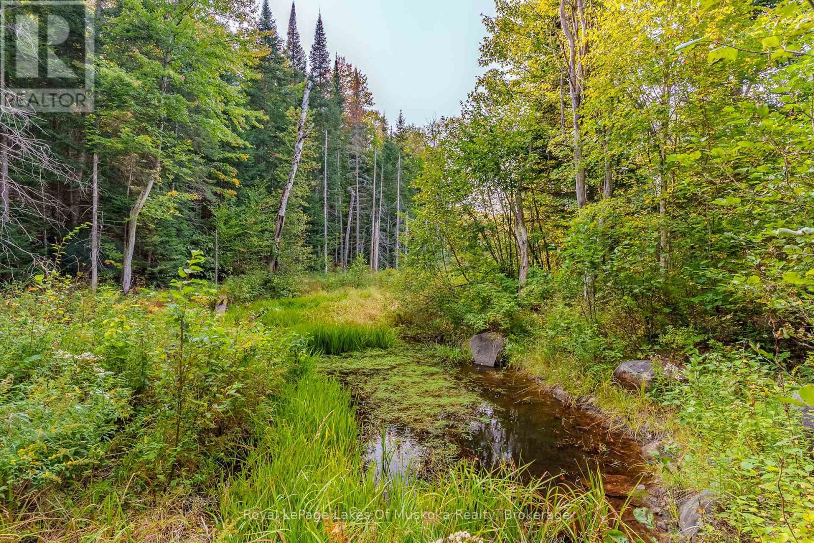 Photo 45 of 165 James Camp Road, Ryerson ON
