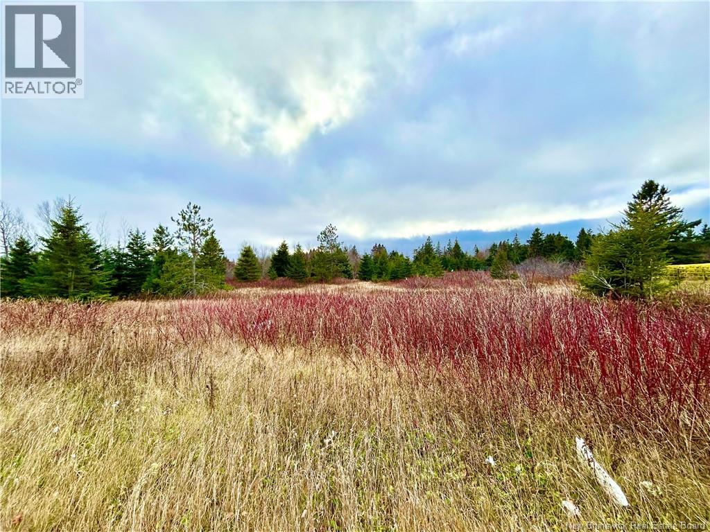 Photo 2 of Lot Route 113, Miscou NB