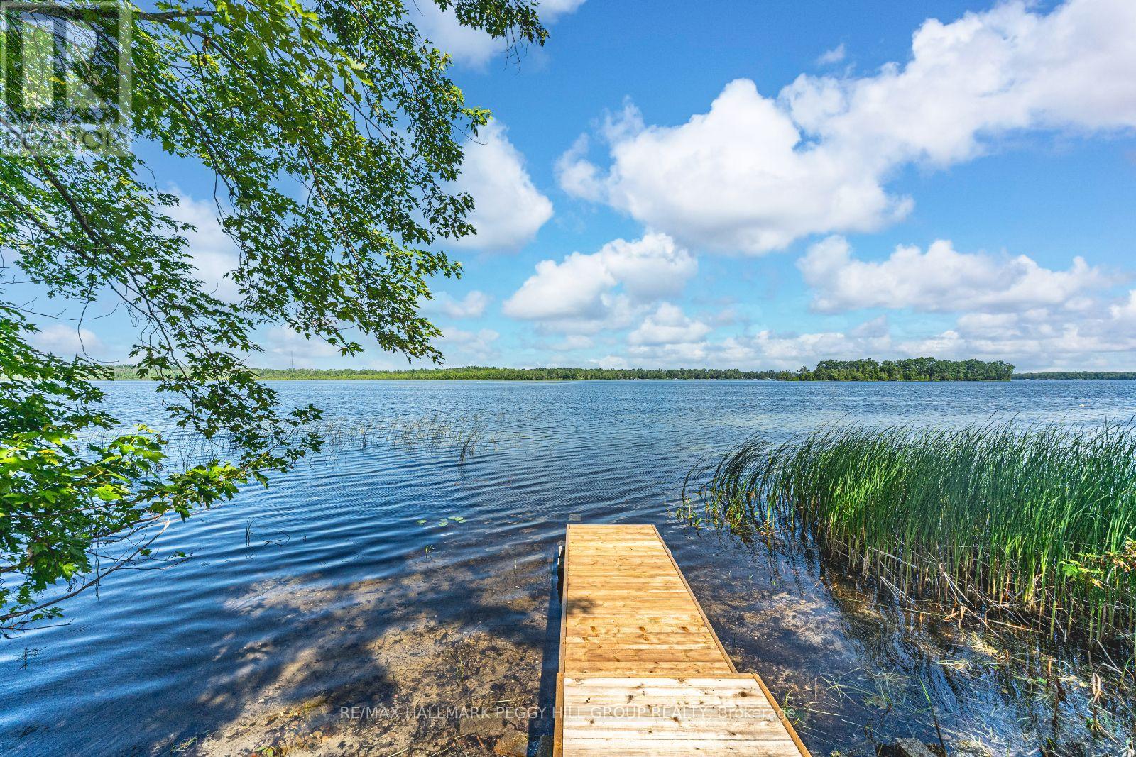 Photo 3 of 185 Avery Point Road, Kawartha Lakes ON