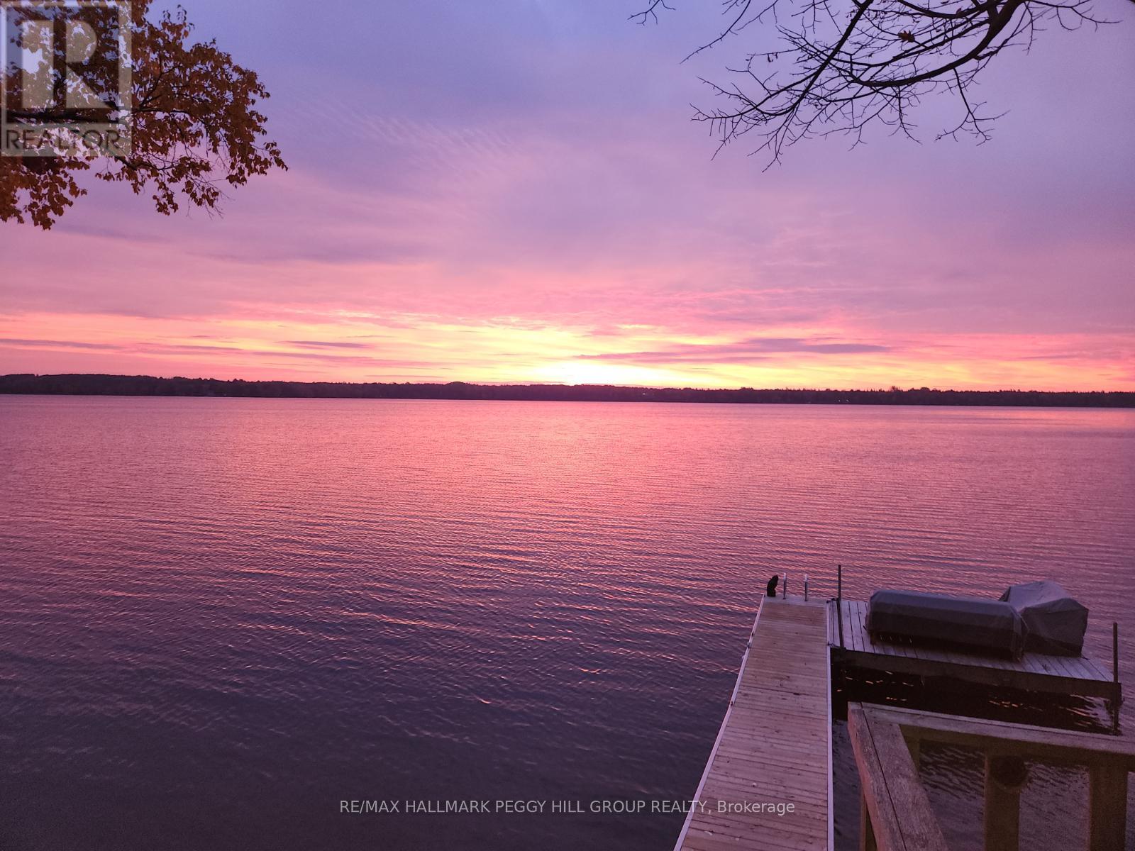 Photo 25 of 185 Avery Point Road, Kawartha Lakes ON
