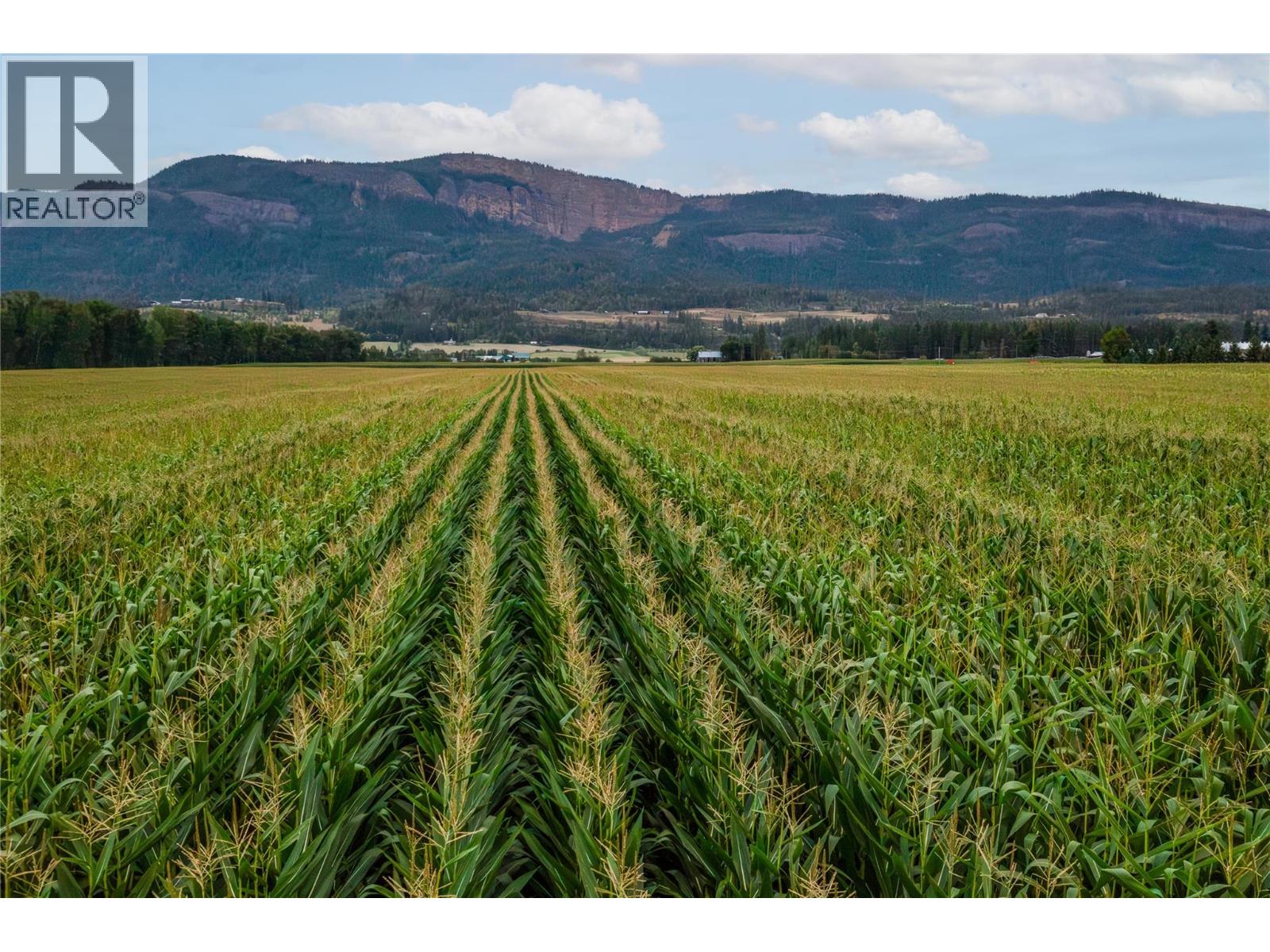 Photo 13 of 40 Mathews Road, Enderby BC