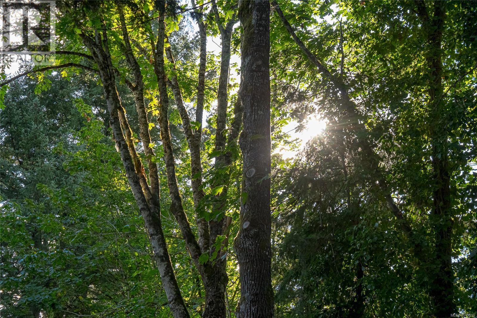 Photo 63 of 5410 Matson Rd, Ladysmith BC
