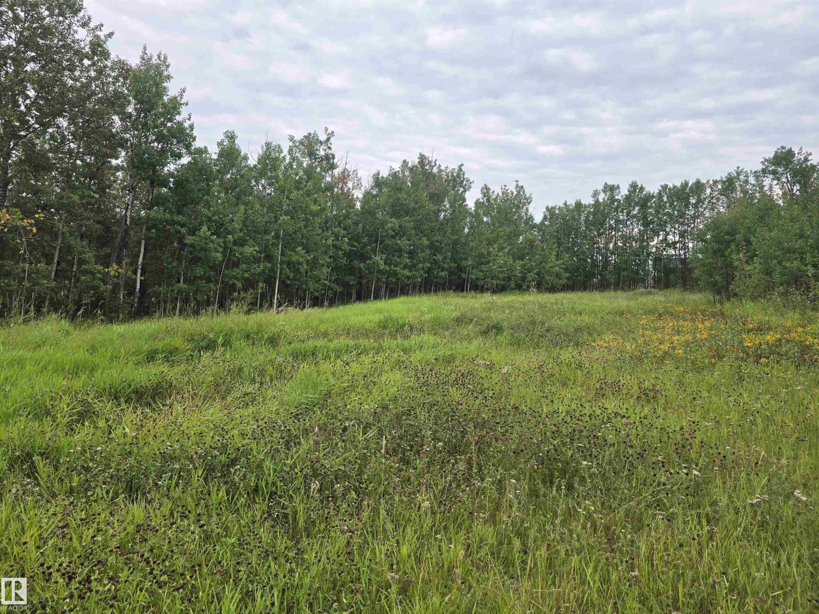 Photo 4 of 21 55022 Lac Ste Anne Trail, Rural Lac Ste Anne County AB