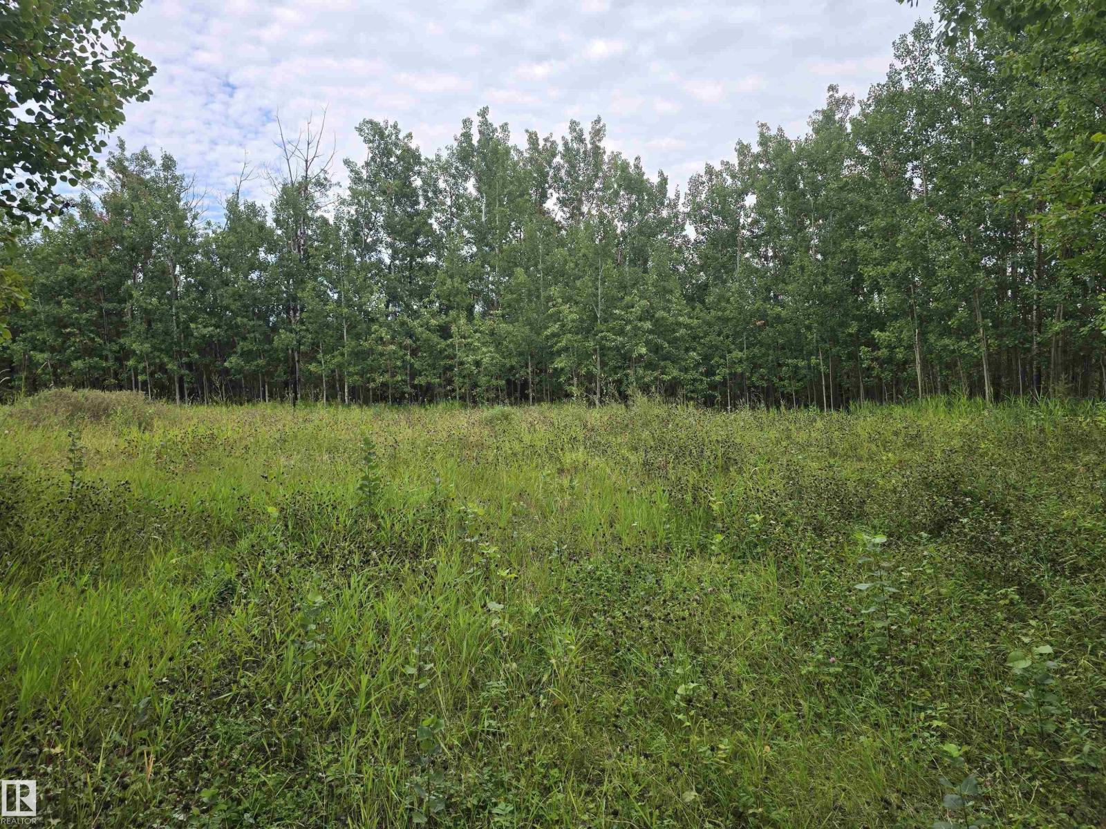 Photo 3 of 19 55022 Lac Ste Anne Trail, Rural Lac Ste Anne County AB