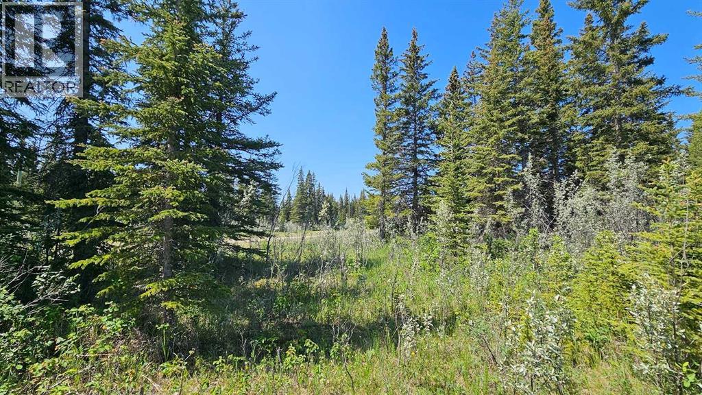 Photo 4 of 11 34364 Range Road 42, Rural Mountain View County AB