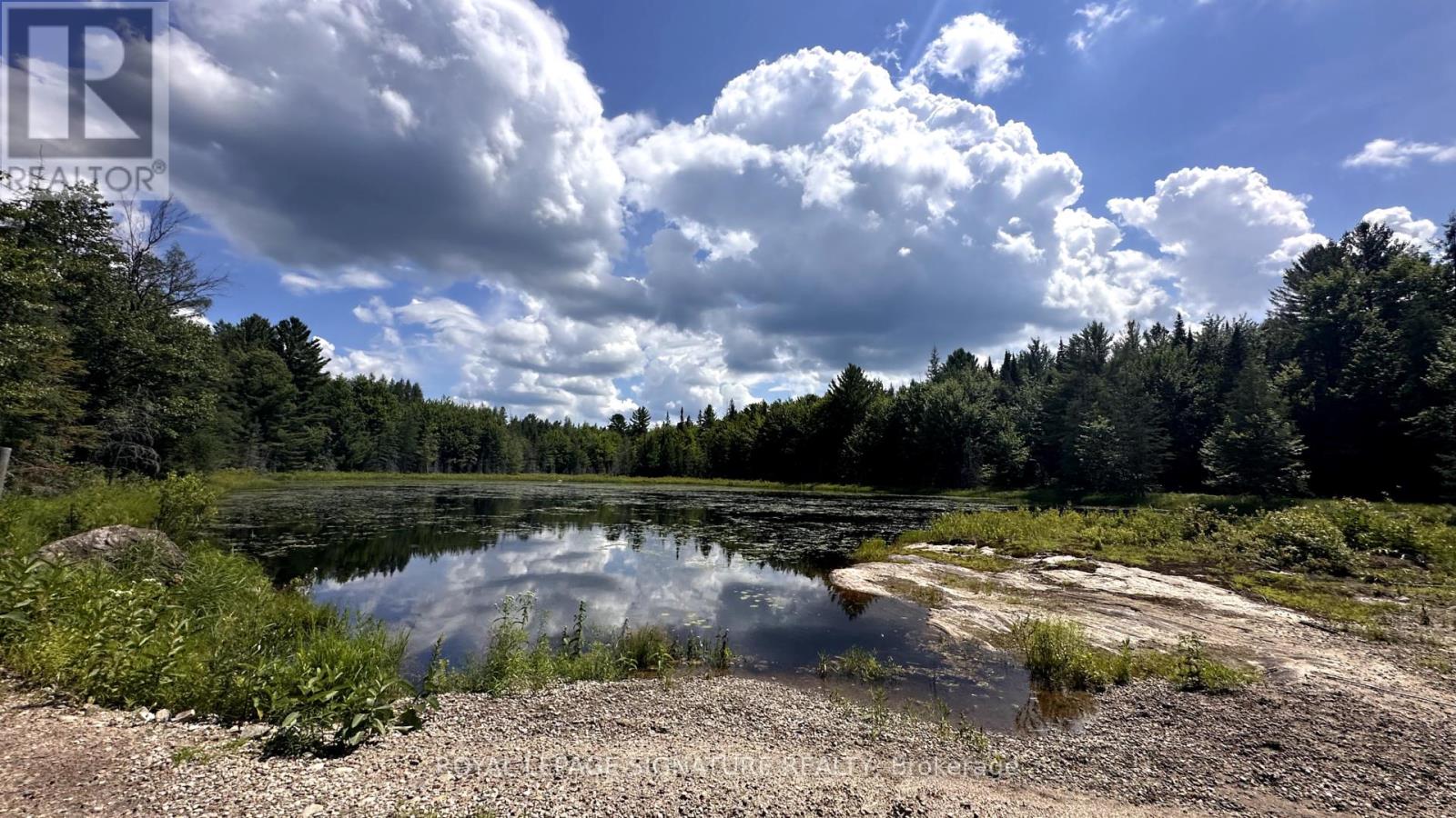 Photo 5 of 15 Axe Lake Road, Mcmurrich Monteith ON
