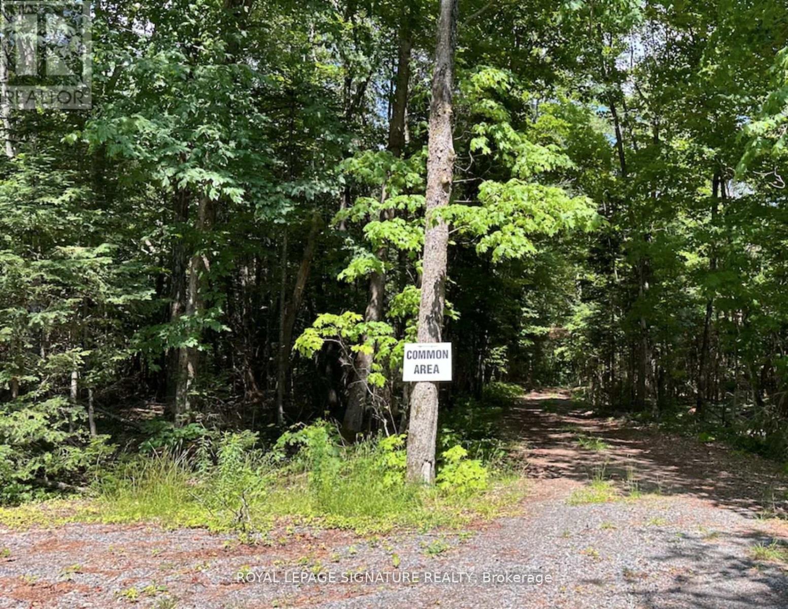 Photo 18 of 15 Axe Lake Road, Mcmurrich Monteith ON