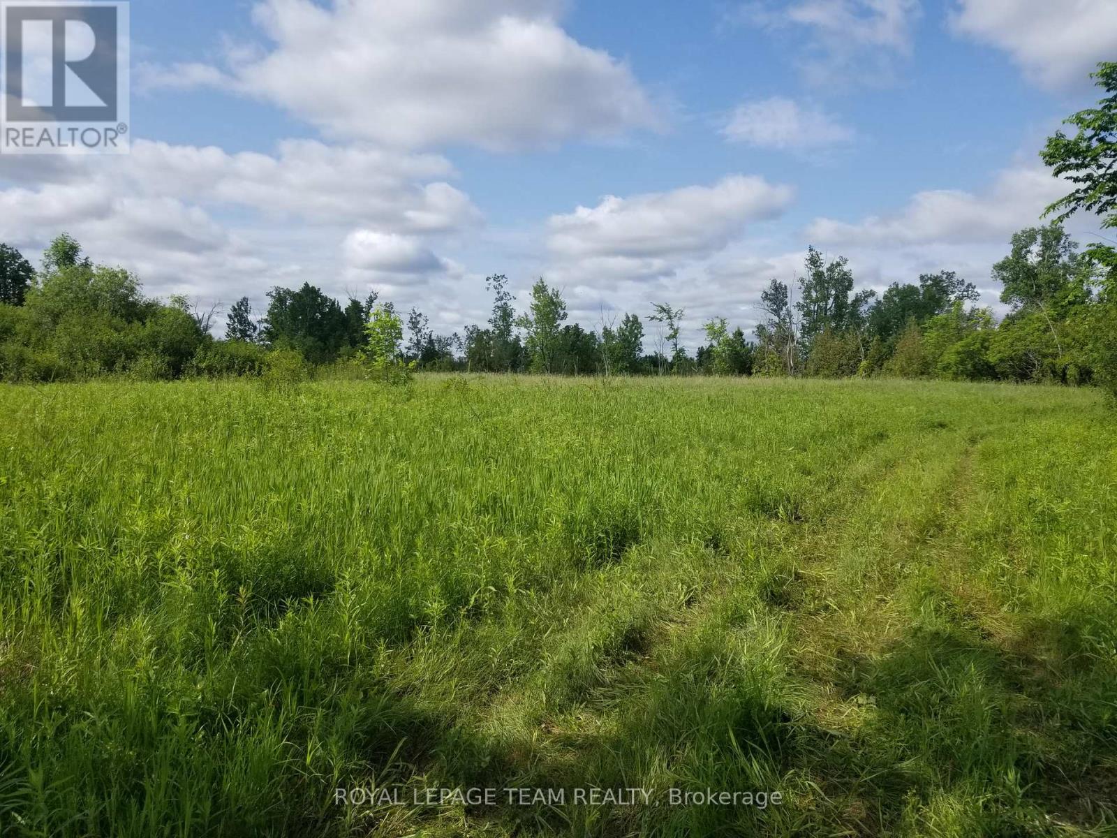 Several great open areas-Scattered trees trees