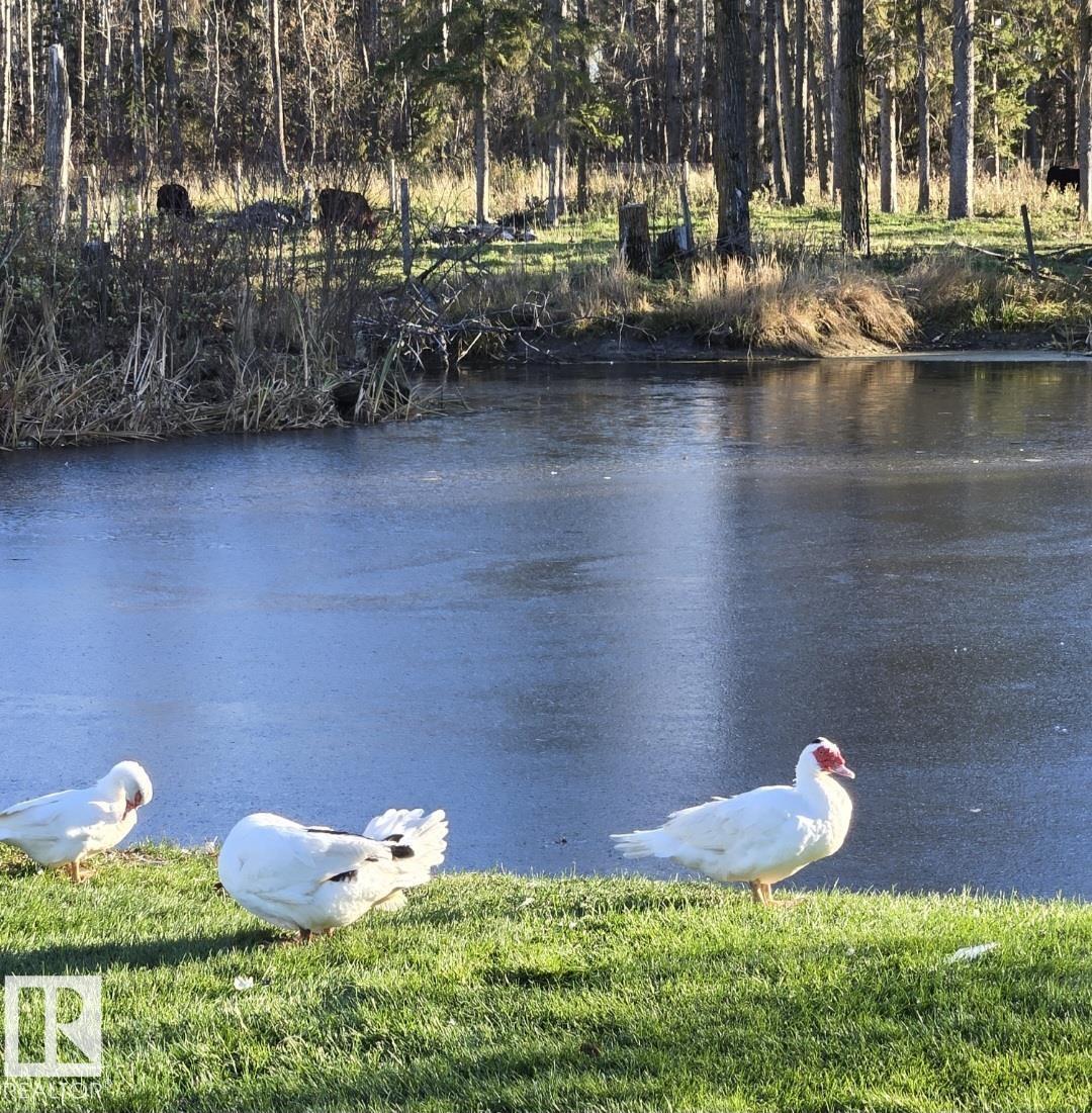 Photo 42 of 60213 Rge Road 260, Rural Westlock County AB