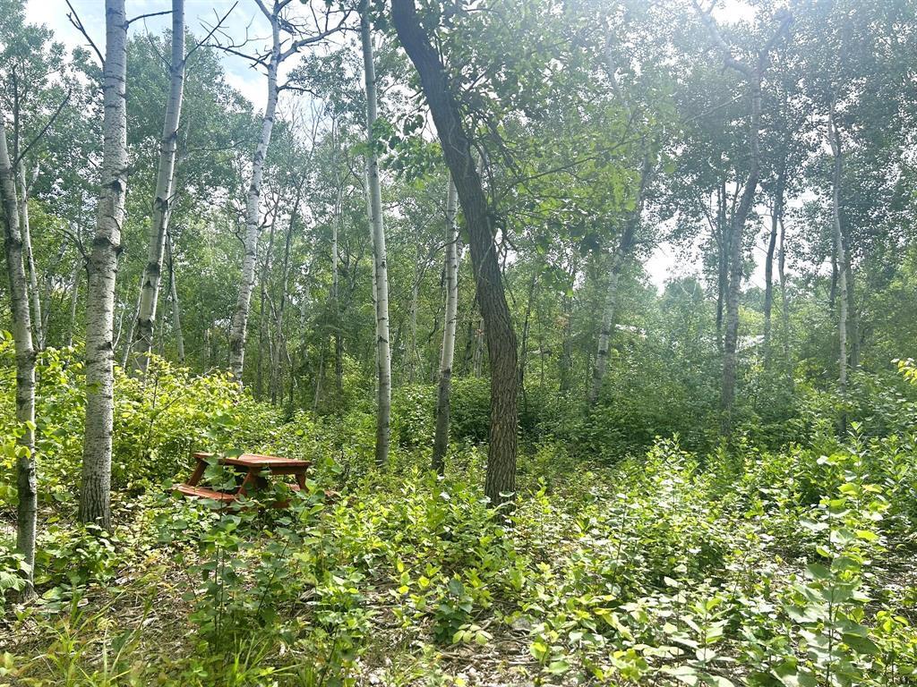 Photo 6 of 2 Hanks Cove, Victoria Beach MB