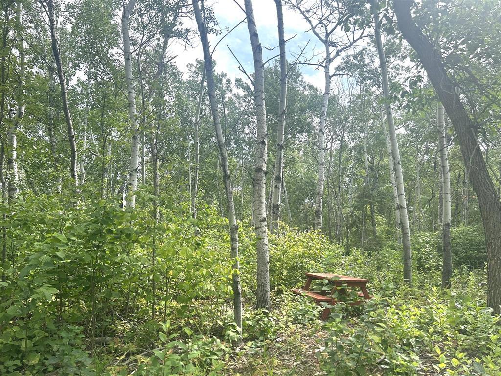 Photo 7 of 2 Hanks Cove, Victoria Beach MB