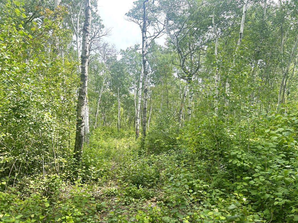 Photo 5 of 2 Hanks Cove, Victoria Beach MB