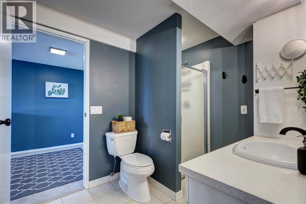 Single Family House Bi-level for Sale in  Mckinley Way SE McKenzie Lake Calgary 
