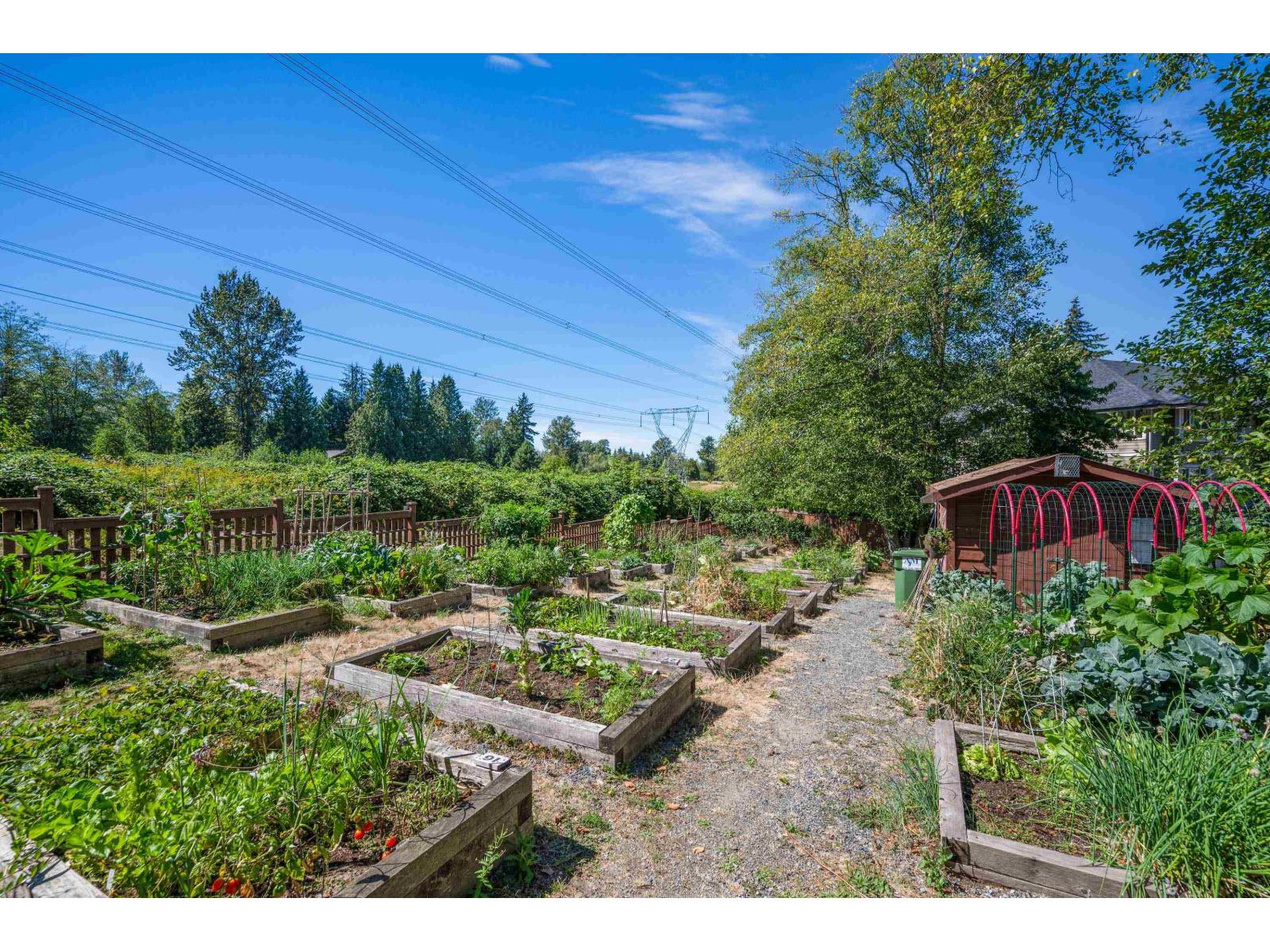Photo 39 of 53 2929 156 Street, Surrey BC