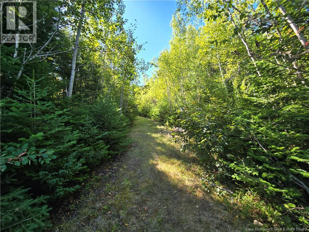 Photo 6 of 6396 Sm Ch Pointe A Tom, Pointeatom NB