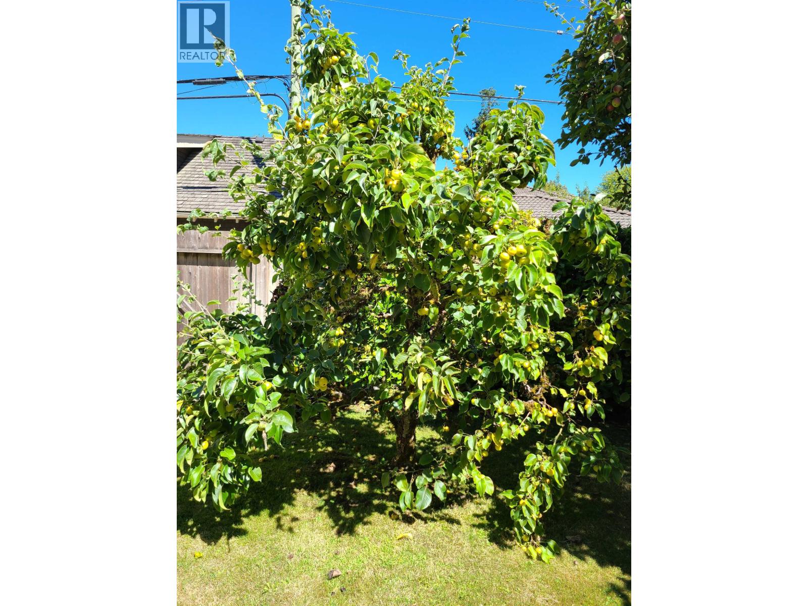 Photo 14 of 2209 W 36th Avenue, Vancouver BC