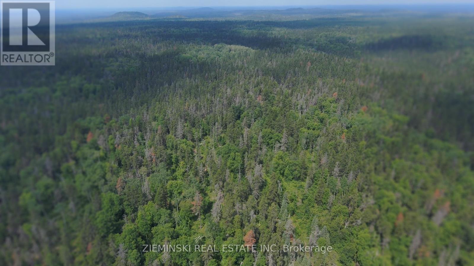 Photo 3 of Lot 10 Plam 6 M 499 North Munro Lake Road, Black Rivermatheson ON