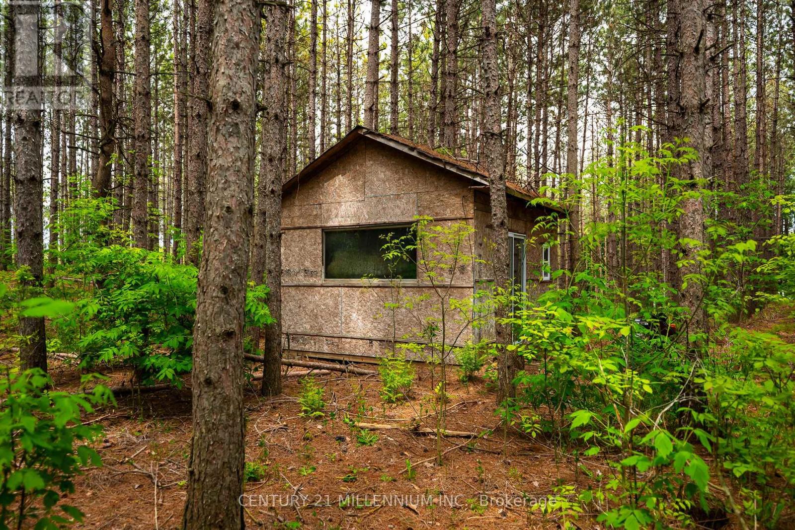 Photo 38 of 7302 Coolihans Side Road, Caledon ON