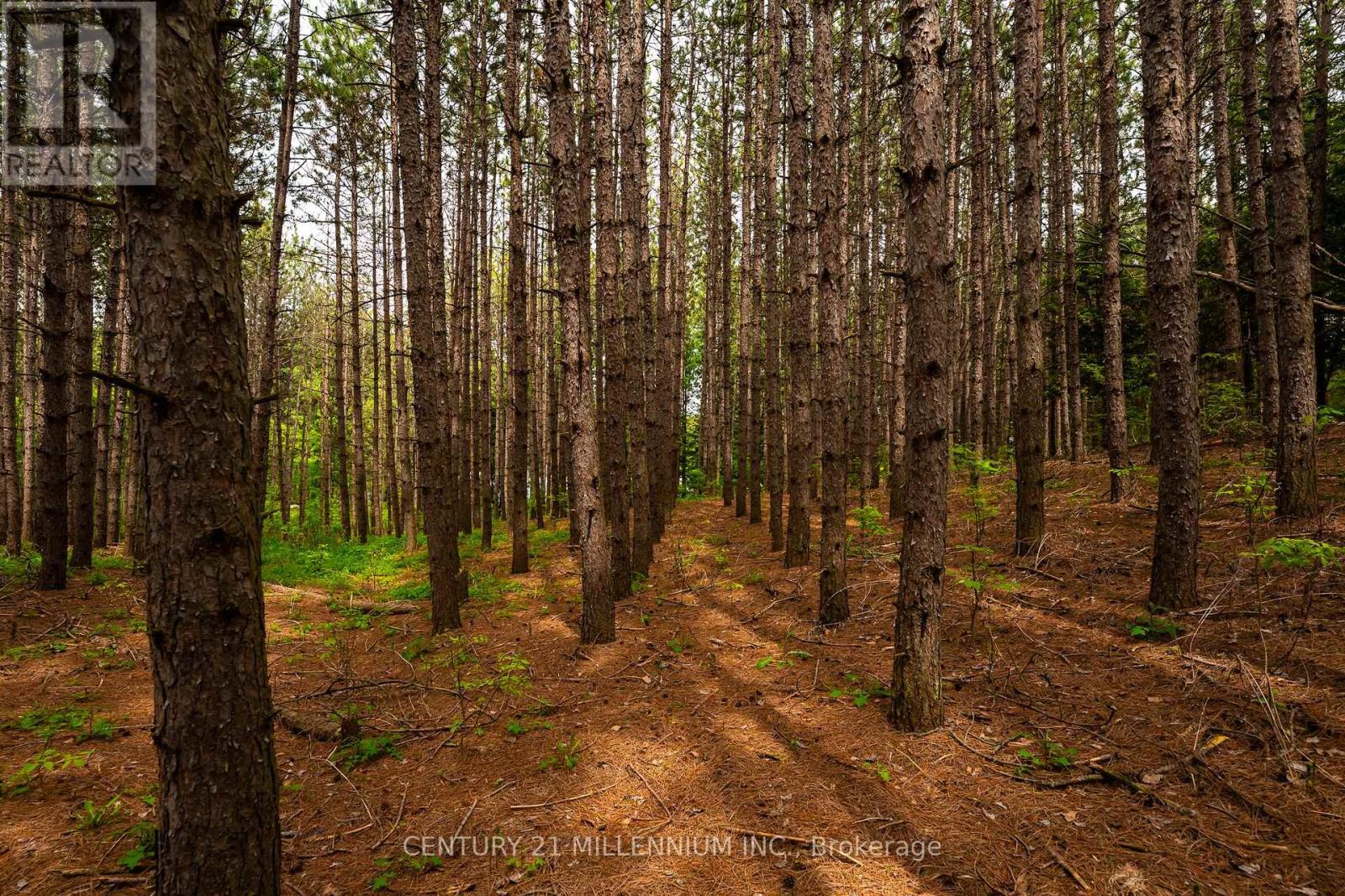 Photo 40 of 7302 Coolihans Side Road, Caledon ON