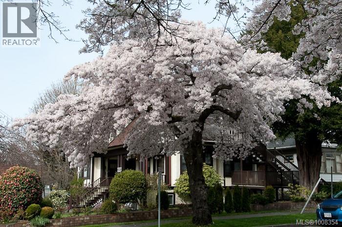 Photo 38 of 302 1024 Fairfield Rd, Victoria BC