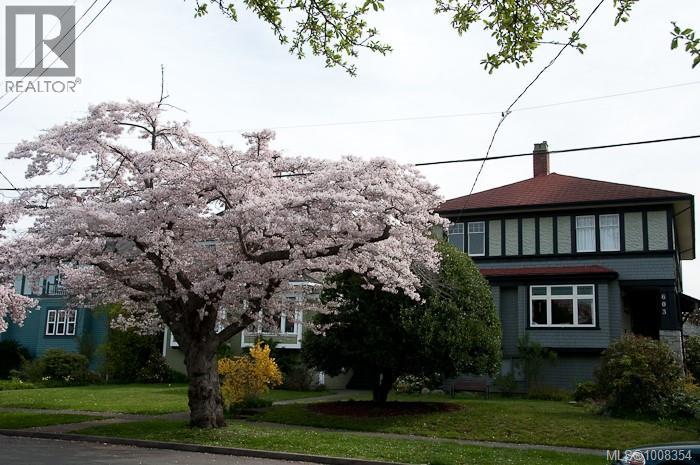 Photo 37 of 302 1024 Fairfield Rd, Victoria BC