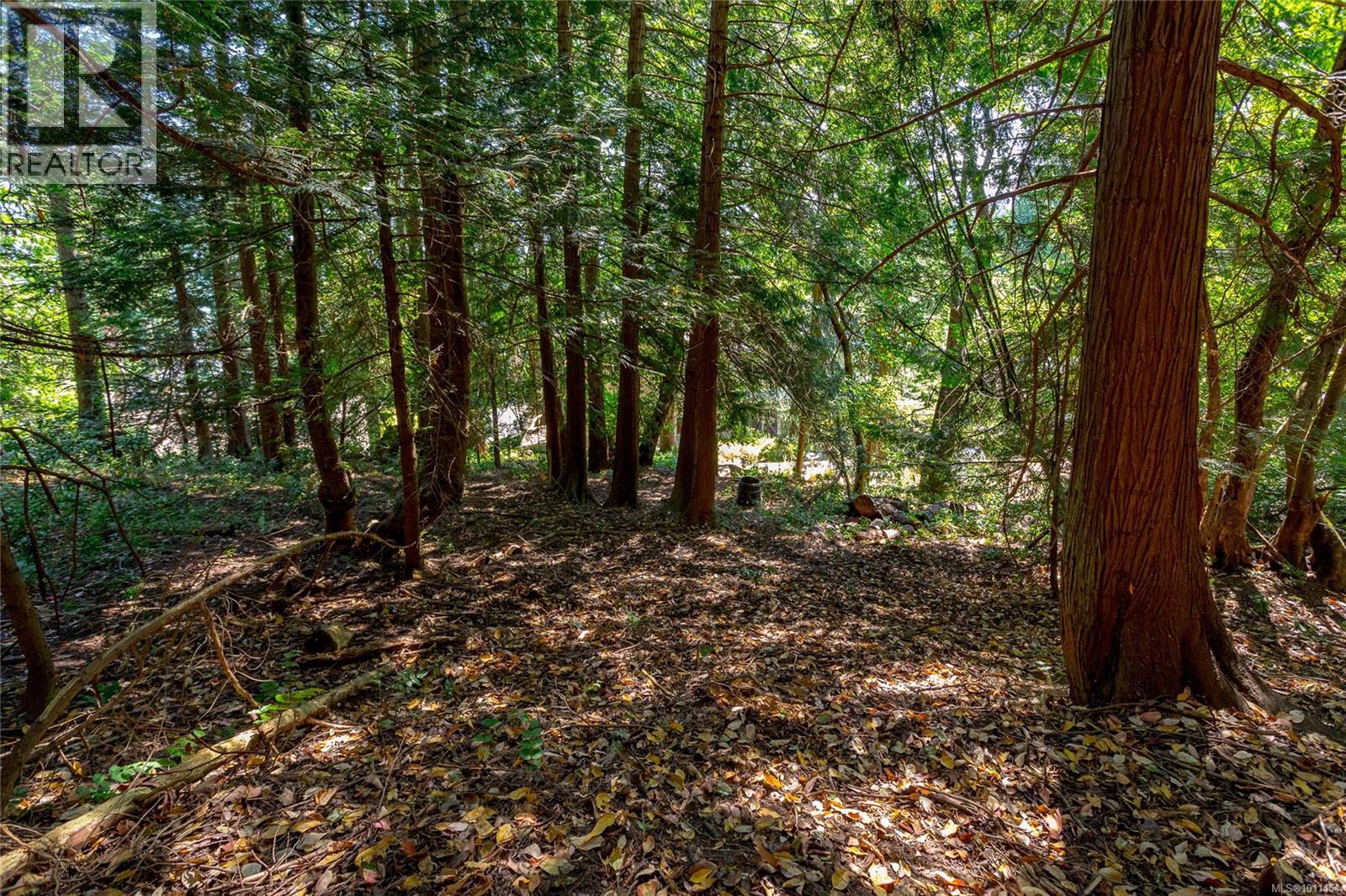 Photo 41 of 4964 Lochside Dr, Saanich BC